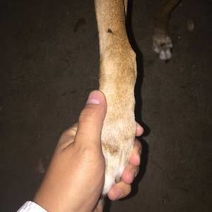 Meet your Posher, Rob